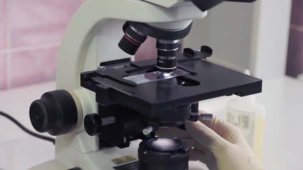 Working In Lab With Microscope - Materiał filmowy, wideo