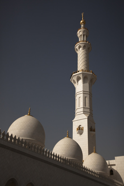 Zayed Τζαμί, Αμπού Ντάμπι, Ηνωμένα Αραβικά Εμιράτα - Φωτογραφία, εικόνα
