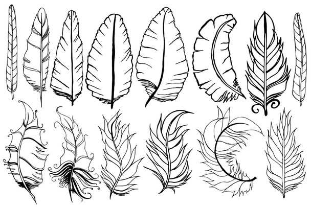 Feather set - Вектор,изображение