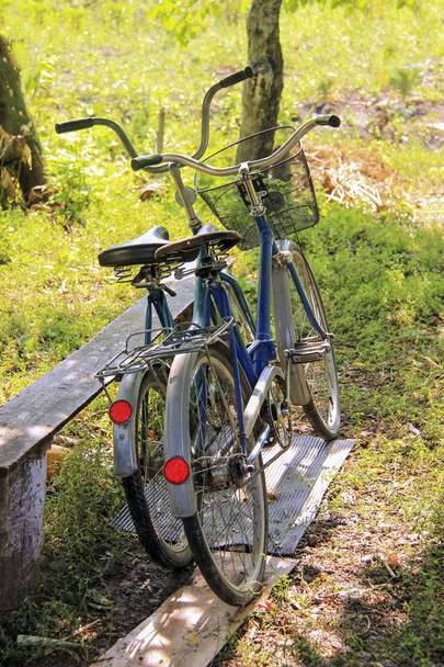 два велосипеди
 - Фото, зображення