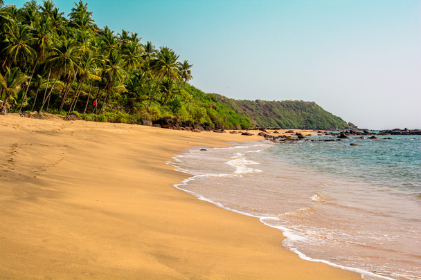 Cola beach, Goa, Hindistan - Fotoğraf, Görsel