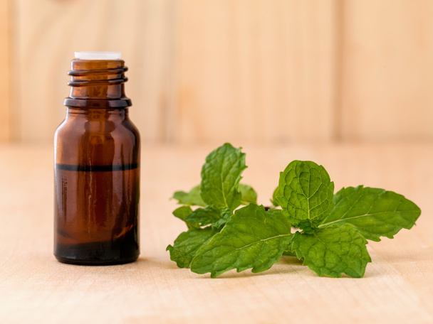 Bottle of mint essential oil on wooden background with selective - Photo, Image