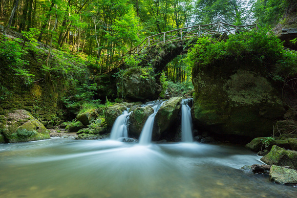 Wasserfall in einem tiefen Wald - Foto, Bild