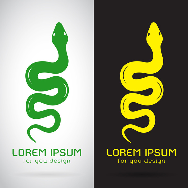 Vector image of an snake on white background and black backgroun - Vector, Image