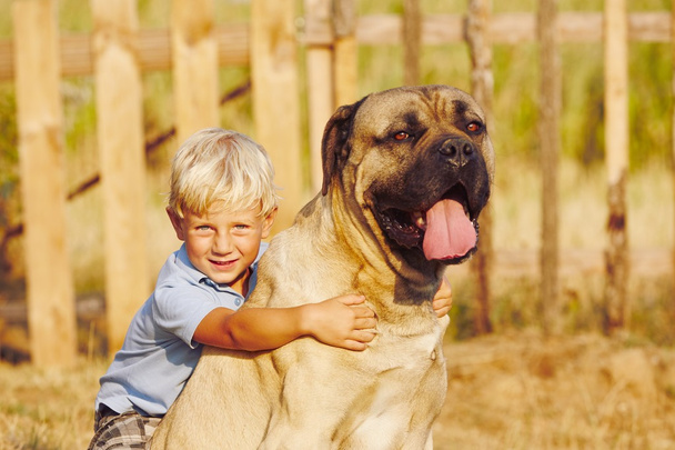 Petit garçon avec grand chien
 - Photo, image