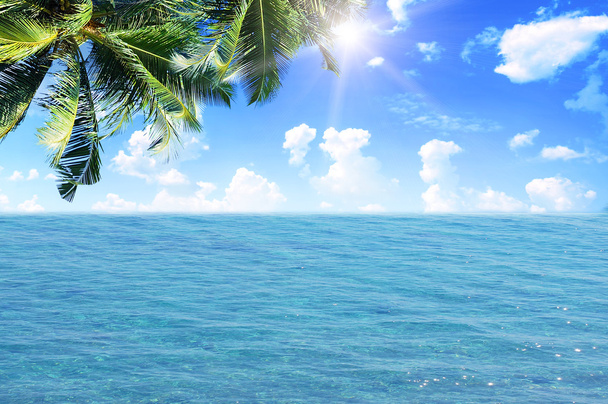 Palmového listí nad tropickou pláž - Fotografie, Obrázek