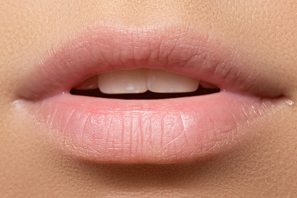 Женские полные губы. Естественный вид. Макияж и косметика
 - Фото, изображение