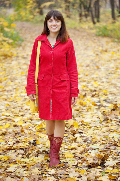 Girl in autumn park - Fotoğraf, Görsel