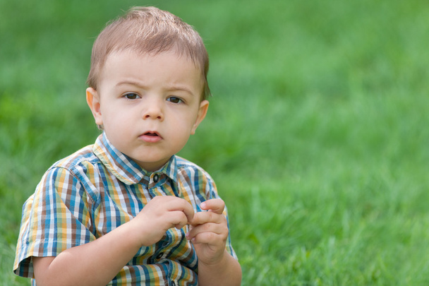 Closeup portrait of a thoughtful toddler against green grass - Photo, Image