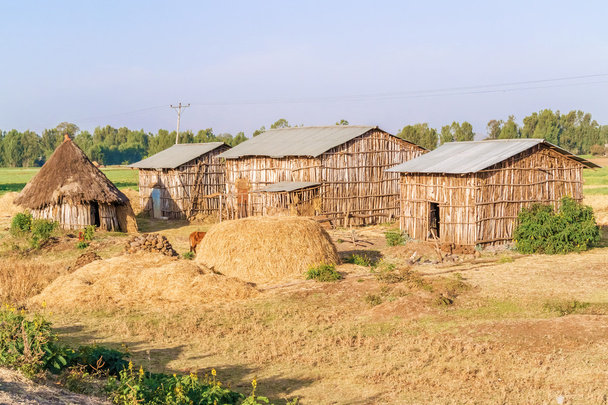 Etiopski domy we wsi - Zdjęcie, obraz