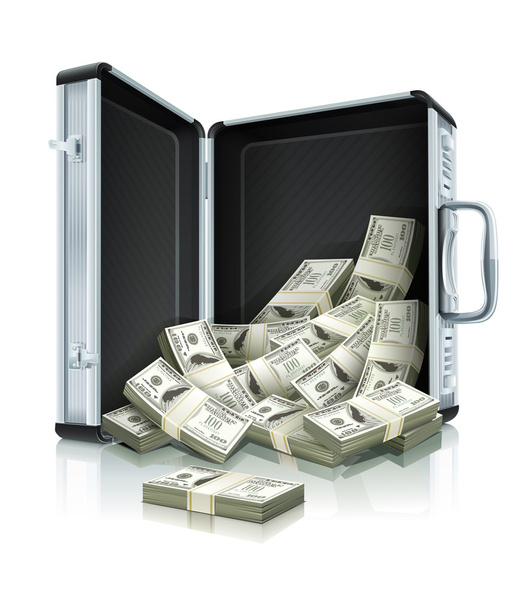 Case with dollars money concept - Vector, Image
