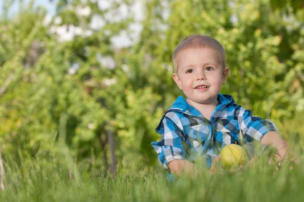 Menino alegre na grama com uma maçã
 - Foto, Imagem