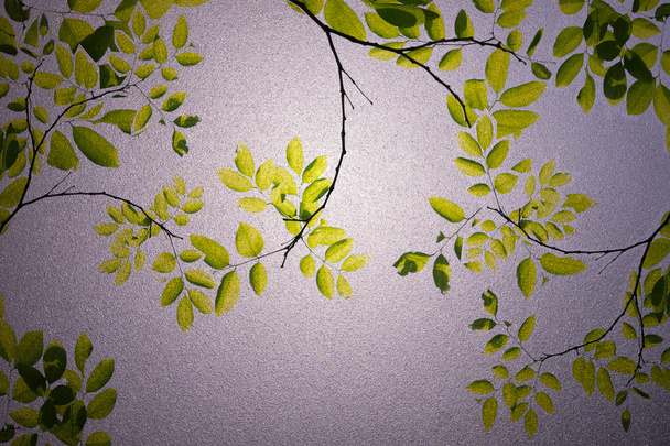 πράσινα φύλλα παγωμένος γυαλί υφή ως φόντο - Φωτογραφία, εικόνα