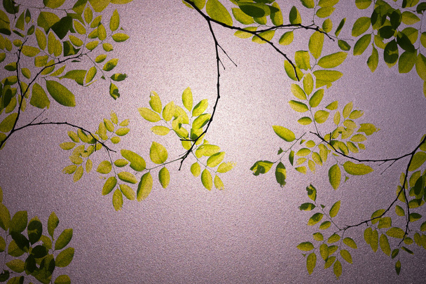 folhas verdes textura de vidro fosco como fundo
 - Foto, Imagem