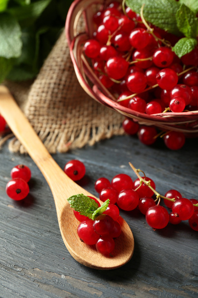 Ripe red currant in wicker basket on wooden background - 写真・画像