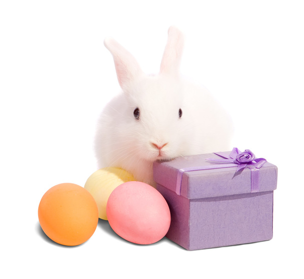 Easter rabbit with present box - Foto, Imagem