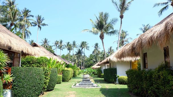 Casas de resort y palmeras en isla tropical
 - Foto, Imagen