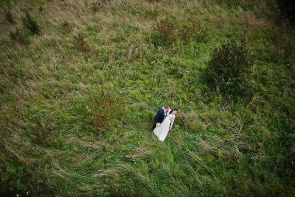 just married at grass, view from high - Zdjęcie, obraz
