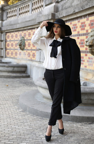  beautiful lady with dark hair wearing elegant clothes  - Zdjęcie, obraz