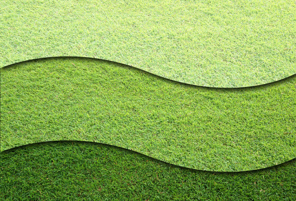 Campos de hierba
 - Foto, imagen