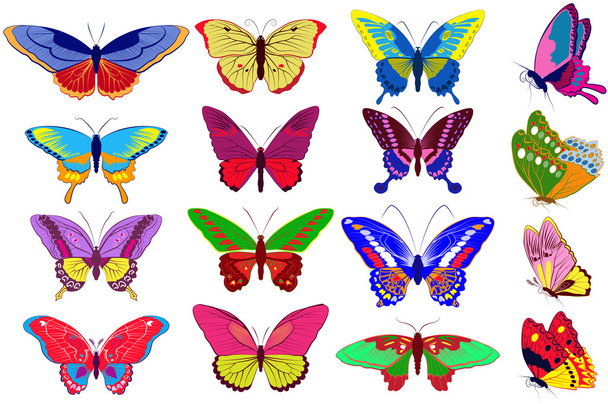 Vektori joukko värikkäitä perhosia
 - Vektori, kuva