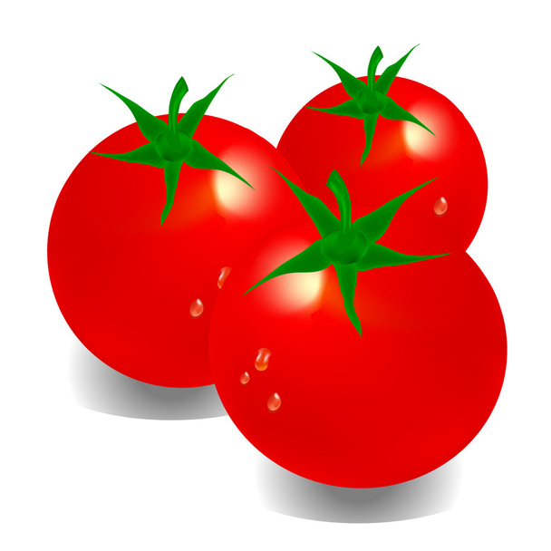 pomidor - Wektor, obraz