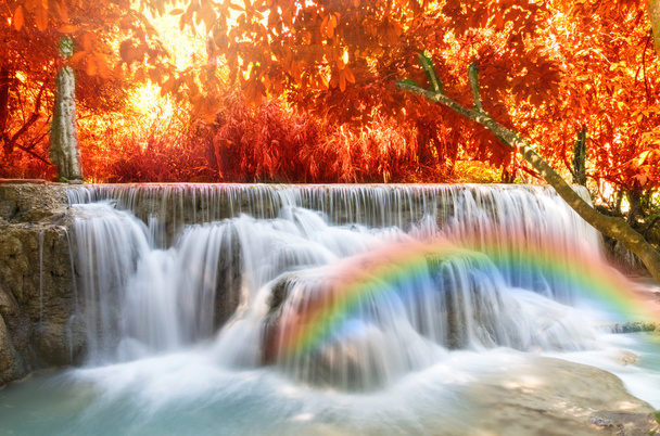 ソフト フォーカスと森の虹の美しい滝 - 写真・画像