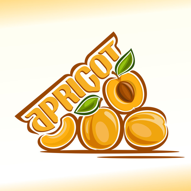 Illustration vectorielle sur le thème de l'abricot
 - Vecteur, image