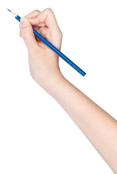 bocetos a mano con lápiz azul aislado sobre blanco
 - Foto, Imagen