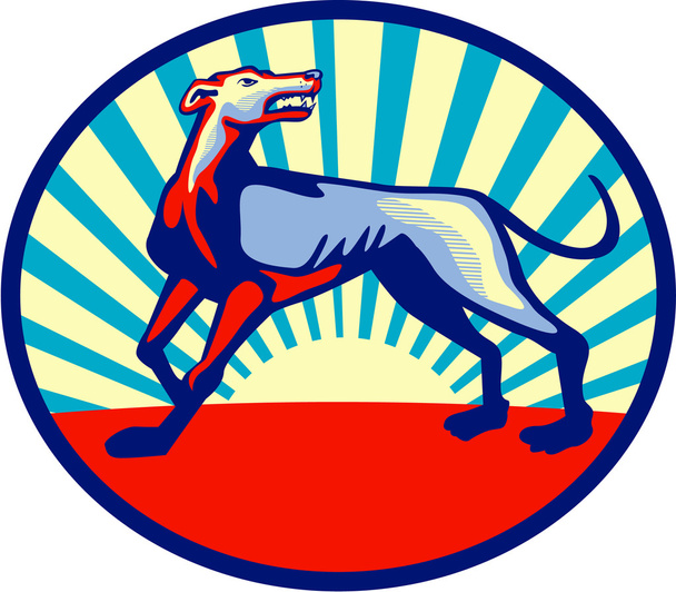 Greyhound chien en colère regardant vers le haut cercle rétro
 - Vecteur, image