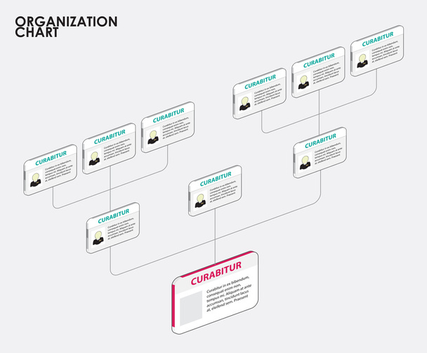 Organization chart infographics with tree. vector illustration - Vector, Image