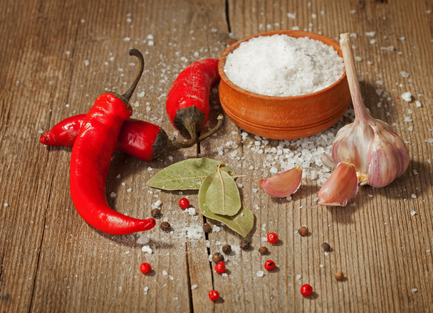 Red hot chili peppers , garlic , salt and other spices - Photo, Image