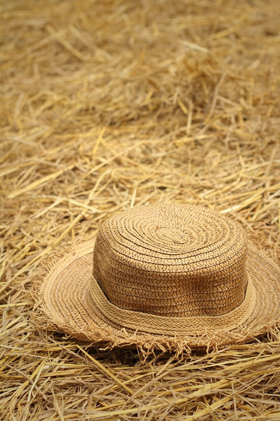 Un chapeau brun sur une paille de riz
. - Photo, image