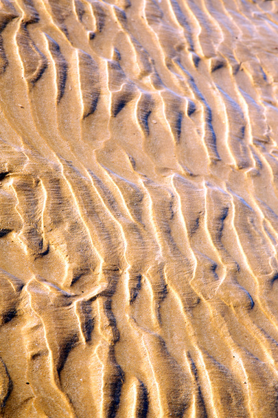 dune marocco vicino oceano Atlantico
 - Foto, immagini