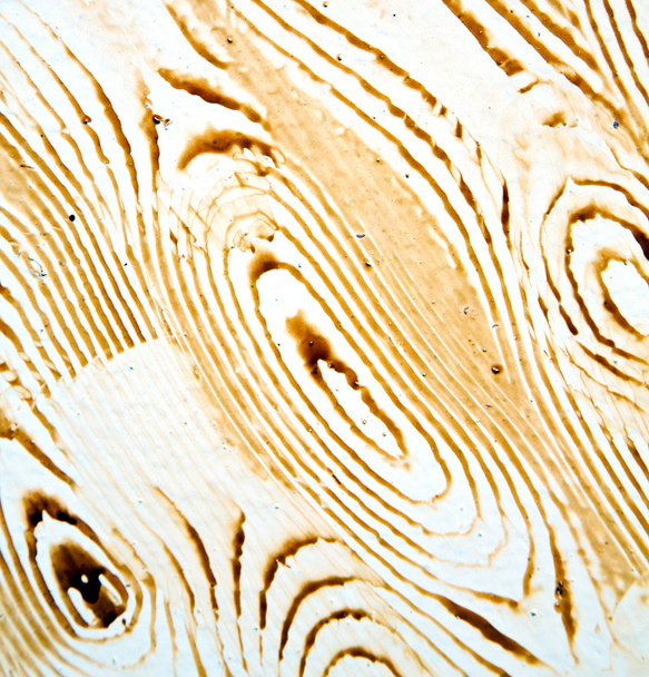 Nagelschmutzige Farbe in der braunen Holztür und rostiges Yello - Foto, Bild
