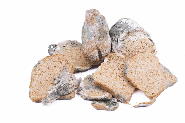 plesnivý chléb - Fotografie, Obrázek