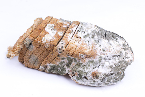 Mouldy bread - Photo, Image