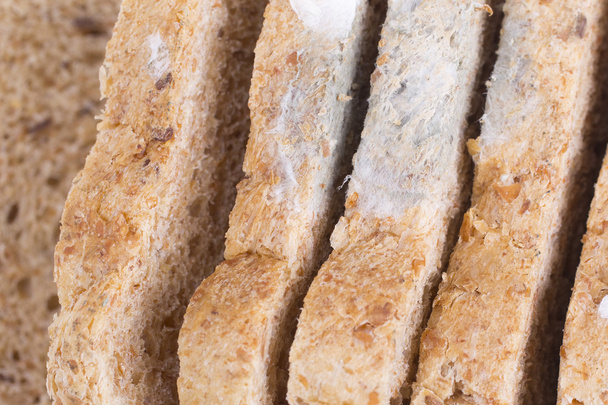 penészes kenyér - Fotó, kép