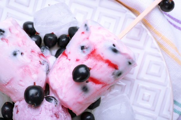 Sweet ice cream with black currants in white plate, closeup - Φωτογραφία, εικόνα