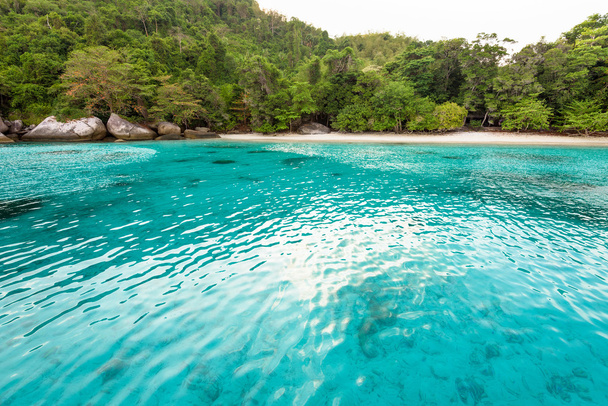 Miesiąc miodowy zatoki i plaży w Similan island, Tajlandia - Zdjęcie, obraz