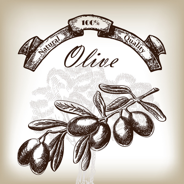 Оливкова гілка дерева намальована ілюстрація в стилі ескізів
 - Вектор, зображення