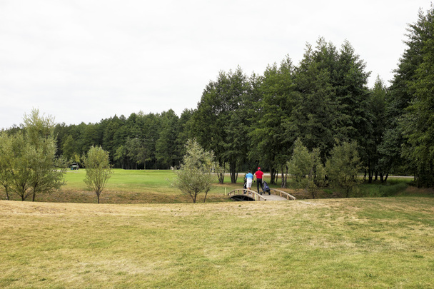 gry w golfa na polu golfowym w pochmurna pogoda - Zdjęcie, obraz