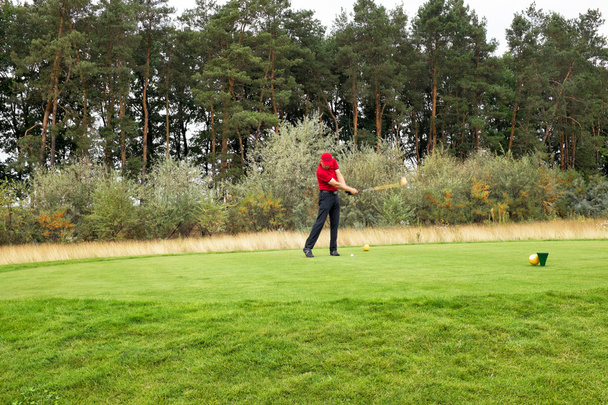 грати в гольф на полі для гольфу в похмуру погоду
 - Фото, зображення