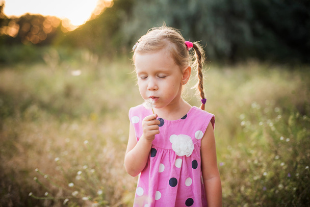 little girl playing in the park in summer day during the sunset, she blowing dandelion on a field - Fotografie, Obrázek