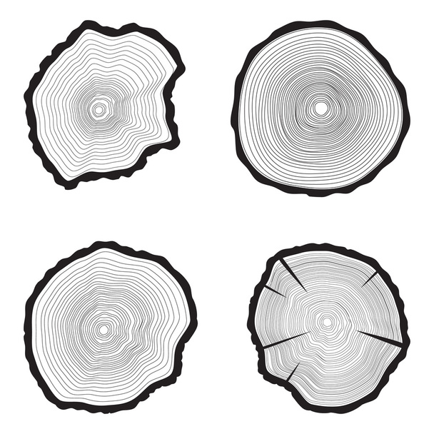 Fa gyűrű háttér beállítása Éves fa - Vektor, kép