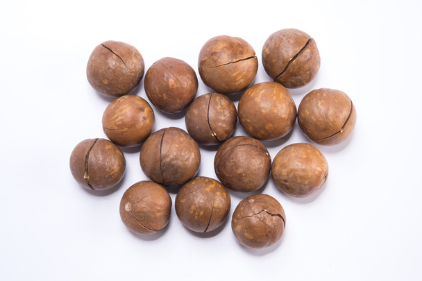 Macadamia nuts on white background - Foto, Imagen