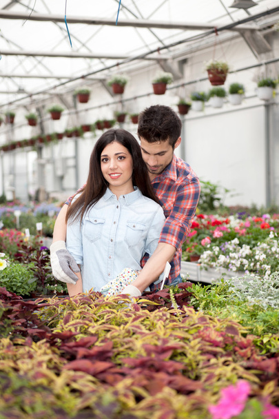 happy couple in greenhouse with flowers - Fotoğraf, Görsel