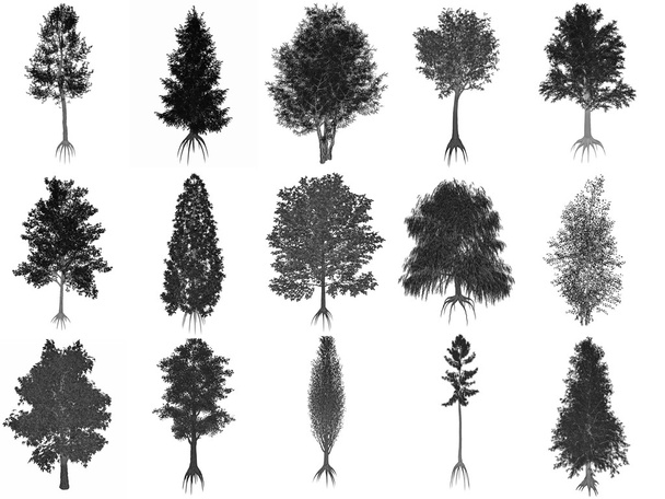 Készlet vagy közös fák gyűjteménye, fekete sziluettek - 3d render - Fotó, kép