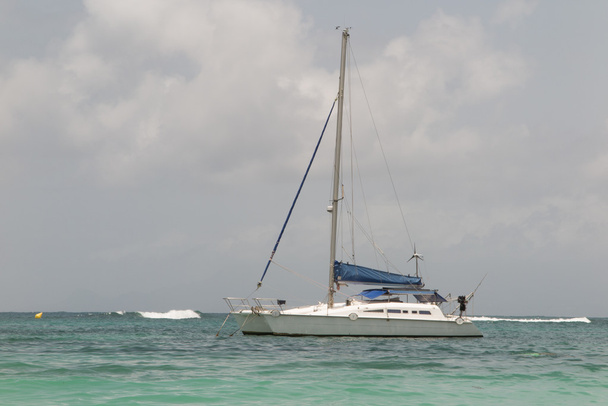 Valkoinen katamaraani taivaansinistä vettä vastaan, Karibian saaret
 - Valokuva, kuva