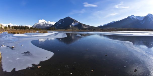Winter Wonderland in the Rockies - Фото, изображение
